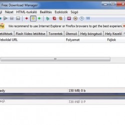 Free Download Manager Portable pillanatkép