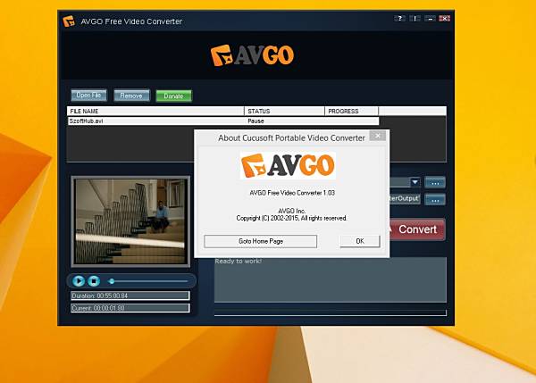 AVGO Free Video Converter