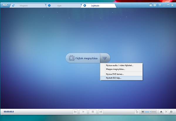Any Video Converter