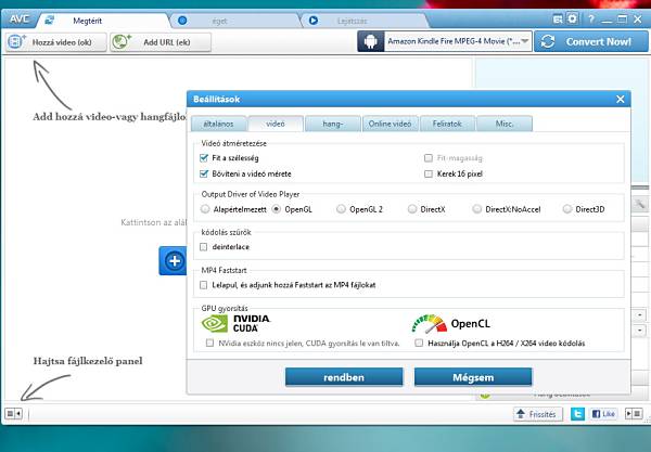Any Video Converter