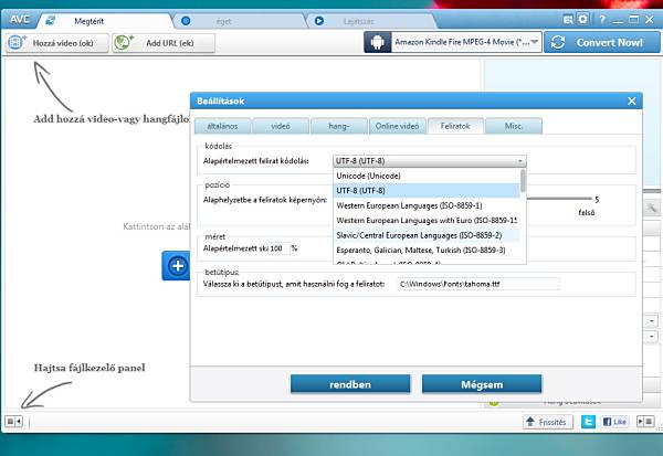Any Video Converter