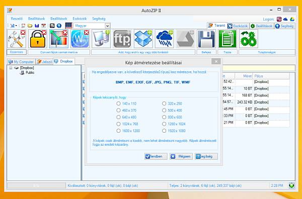 AutoZIP II