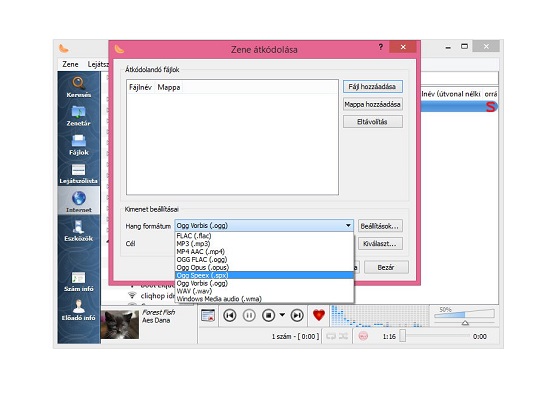 Clementine Music Player