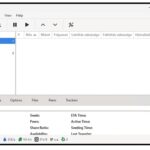 Deluge Portable 2.1.1