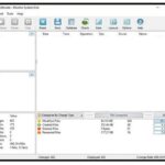 Disk Pulse Pro 17.3.18
