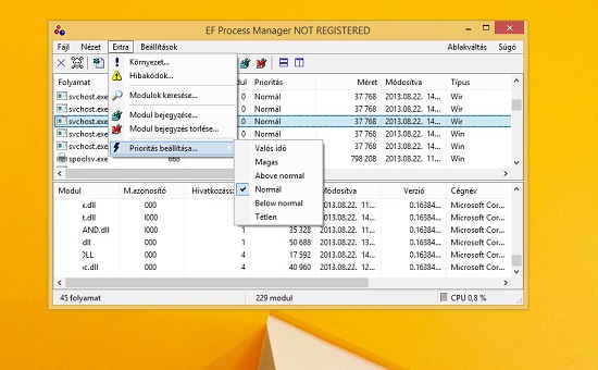 EF Process Manager Portable