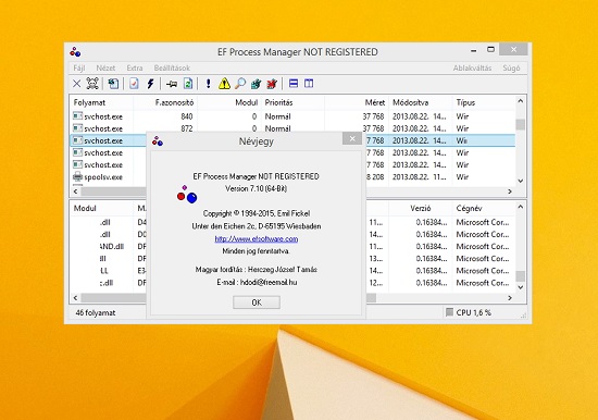 EF Process Manager Portable