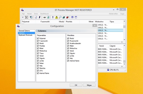 EF Process Manager Portable