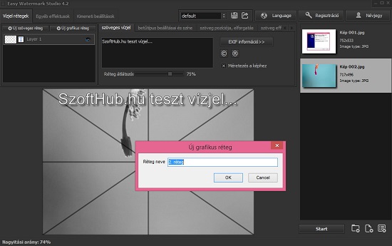 Easy Watermark Studio Pro