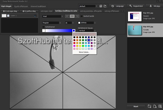 Easy Watermark Studio Pro