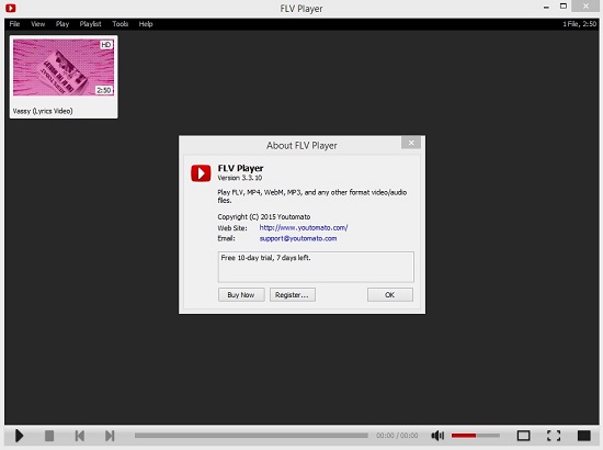 FLV Player