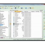 FRSFileMgr 6.0.0