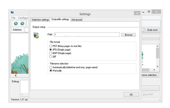 IE Snapshot