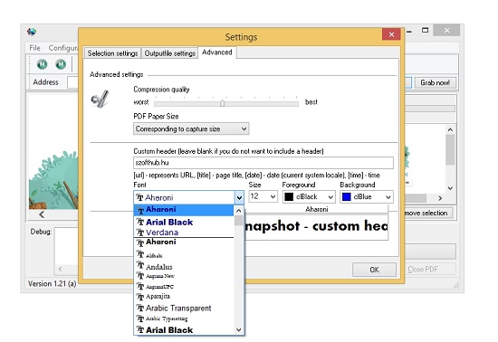 IE Snapshot
