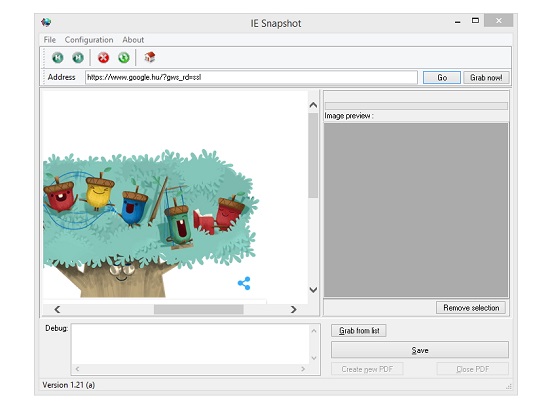 IE Snapshot