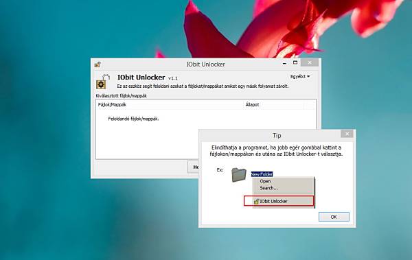 IObit Unlocker
