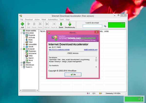 Internet Download Accelerator