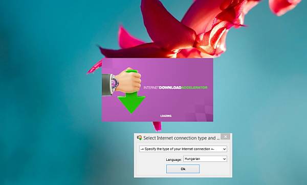 Internet Download Accelerator