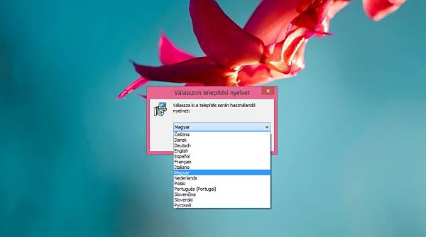 Internet Download Accelerator