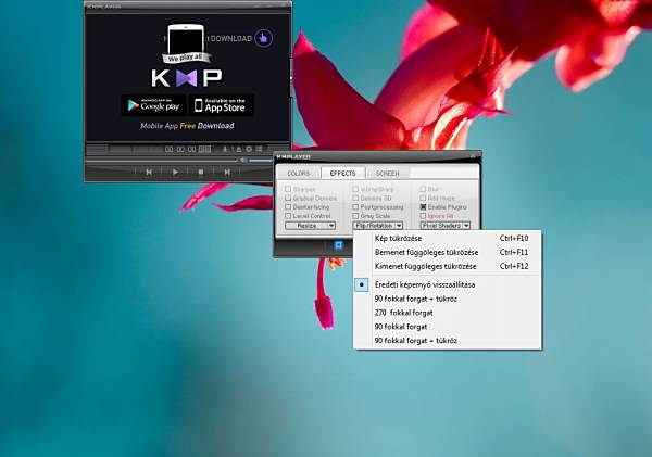KMplayer