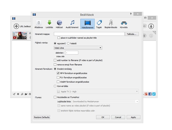 MediaHuman YouTube Downloader - Videókimenet