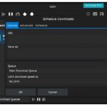 Ninja Download Manager 46.0