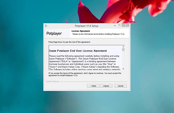 PotPlayer