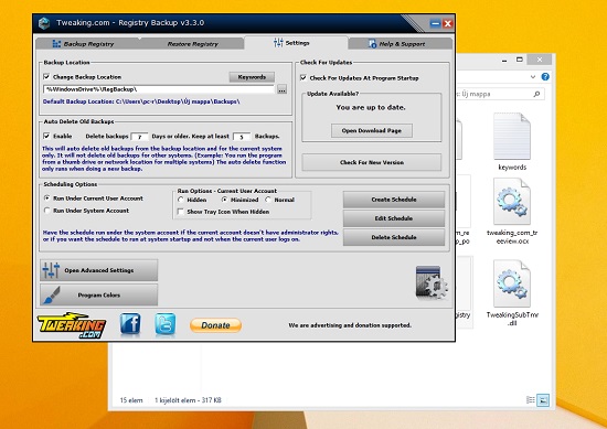 Registry Backup Portable