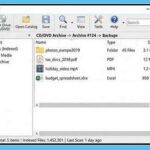Rendszerezési műveletek futtatása a Drive Browser fájlkezelő szoftverrel