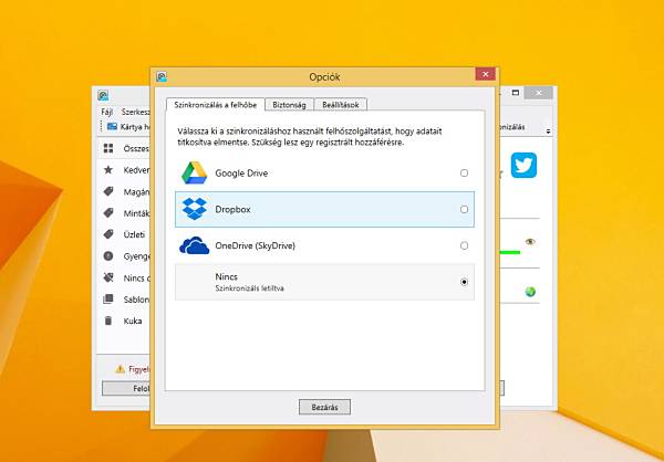 SafeInCloud Portable