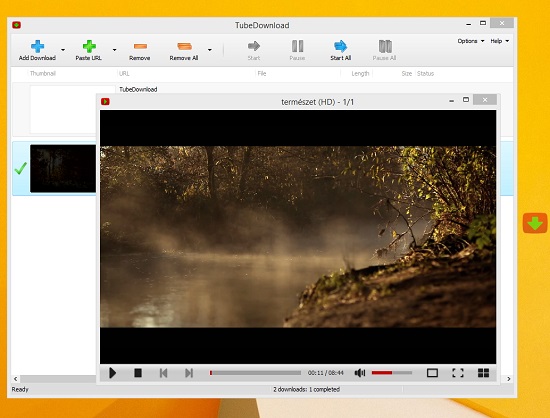 TubeDownload