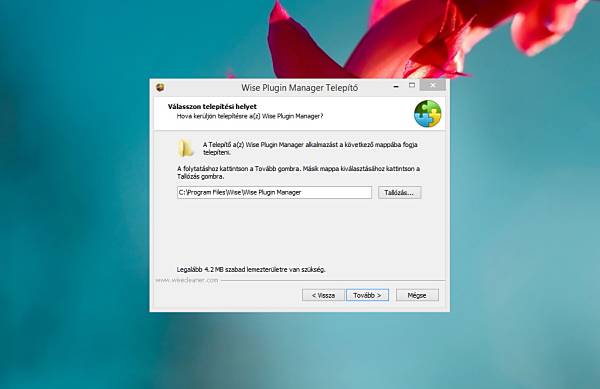 Wise Plugin Manager