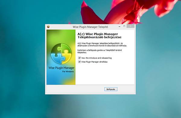Wise Plugin Manager