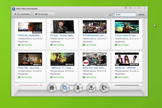 Wise Video Downloader