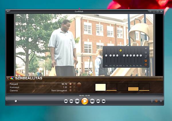 Zoom Player Professional