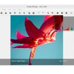 nomacs Portable 3.22.0